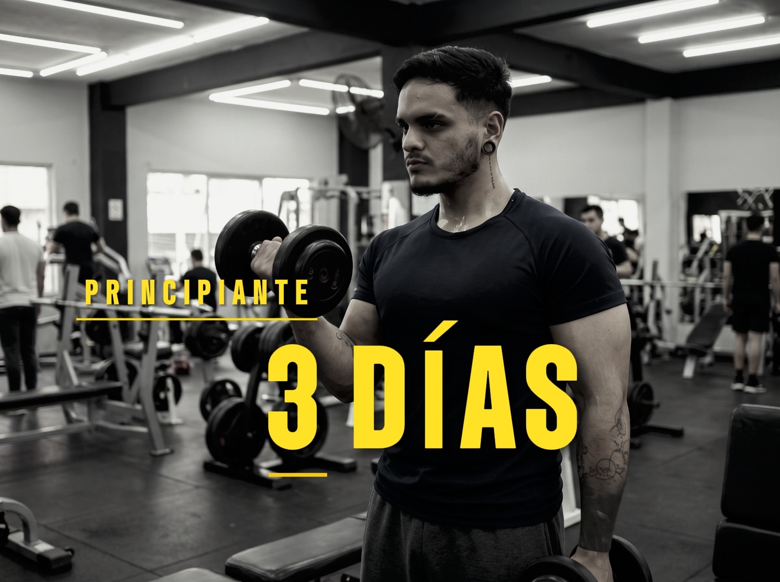 Rutina Hombres 3 Días Principiante